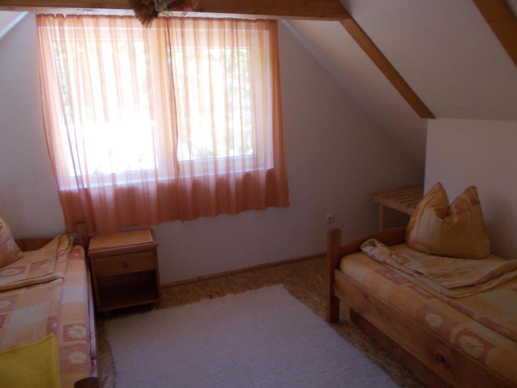 Pensiunea Adina Cavnic Quarto foto